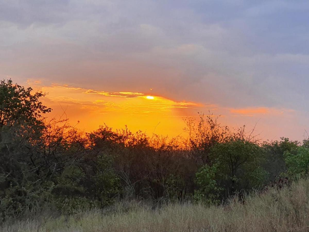 Masorini Bush Lodge & Safari Tents Phalaborwa Bagian luar foto