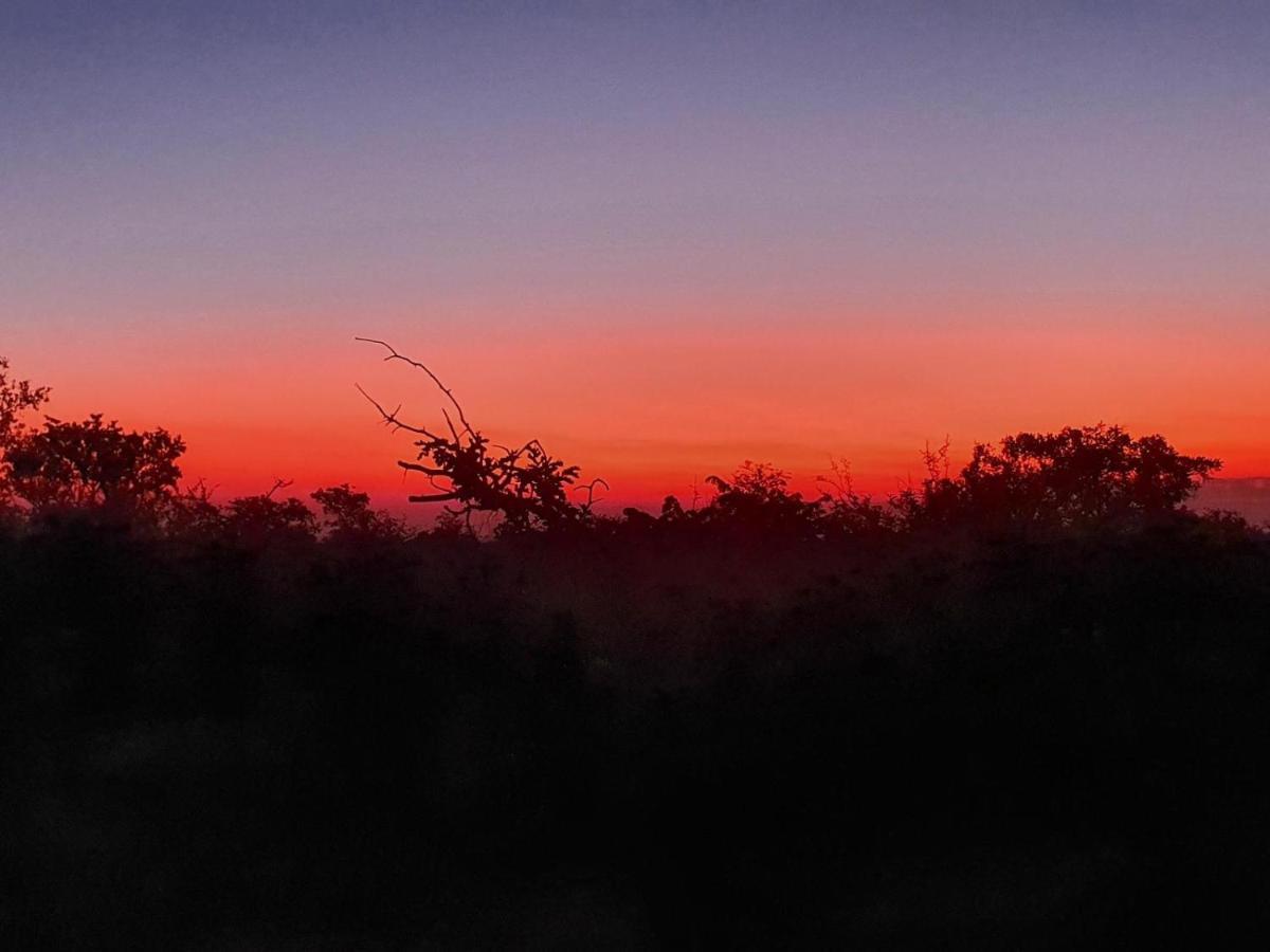 Masorini Bush Lodge & Safari Tents Phalaborwa Bagian luar foto