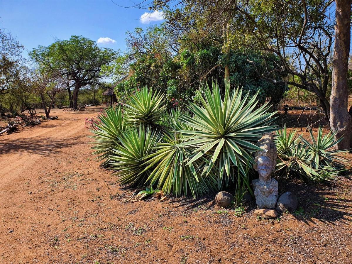 Masorini Bush Lodge & Safari Tents Phalaborwa Bagian luar foto