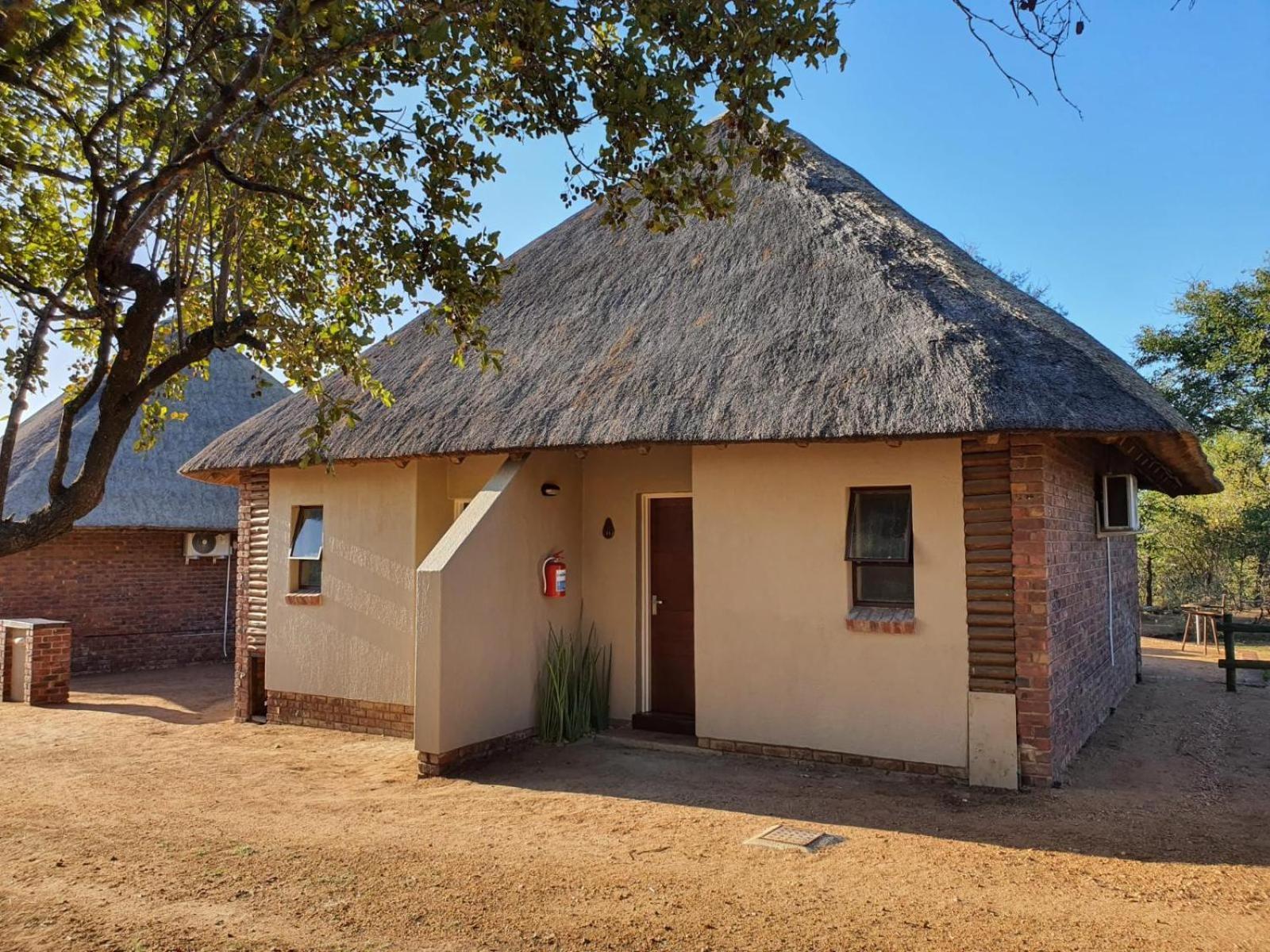 Masorini Bush Lodge & Safari Tents Phalaborwa Ruang foto