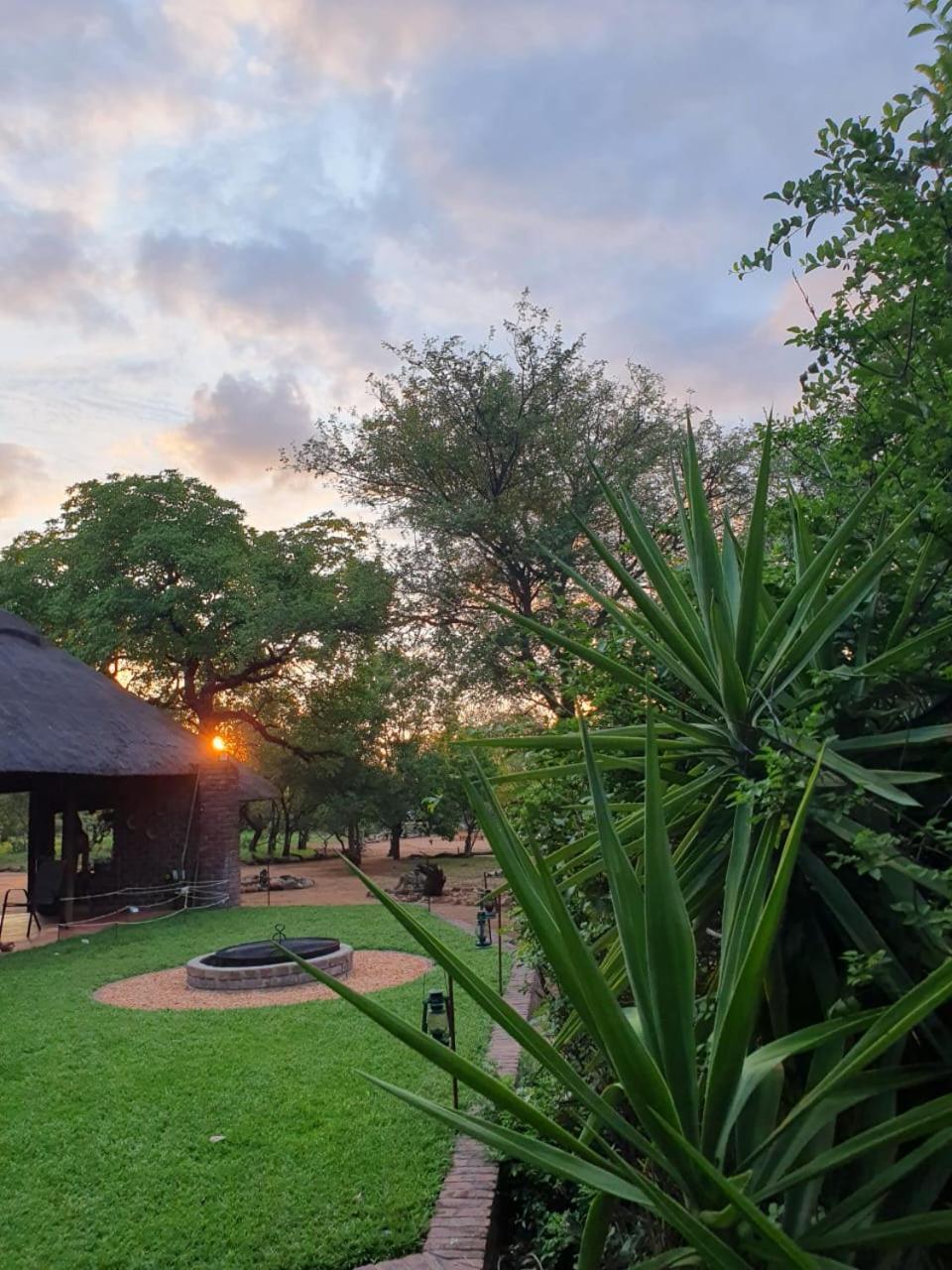 Masorini Bush Lodge & Safari Tents Phalaborwa Bagian luar foto