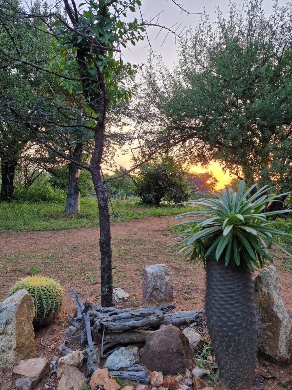 Masorini Bush Lodge & Safari Tents Phalaborwa Bagian luar foto