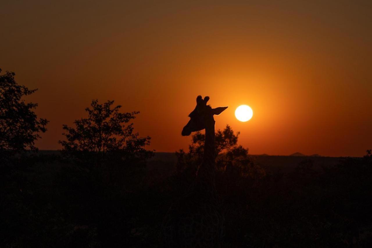 Masorini Bush Lodge & Safari Tents Phalaborwa Bagian luar foto
