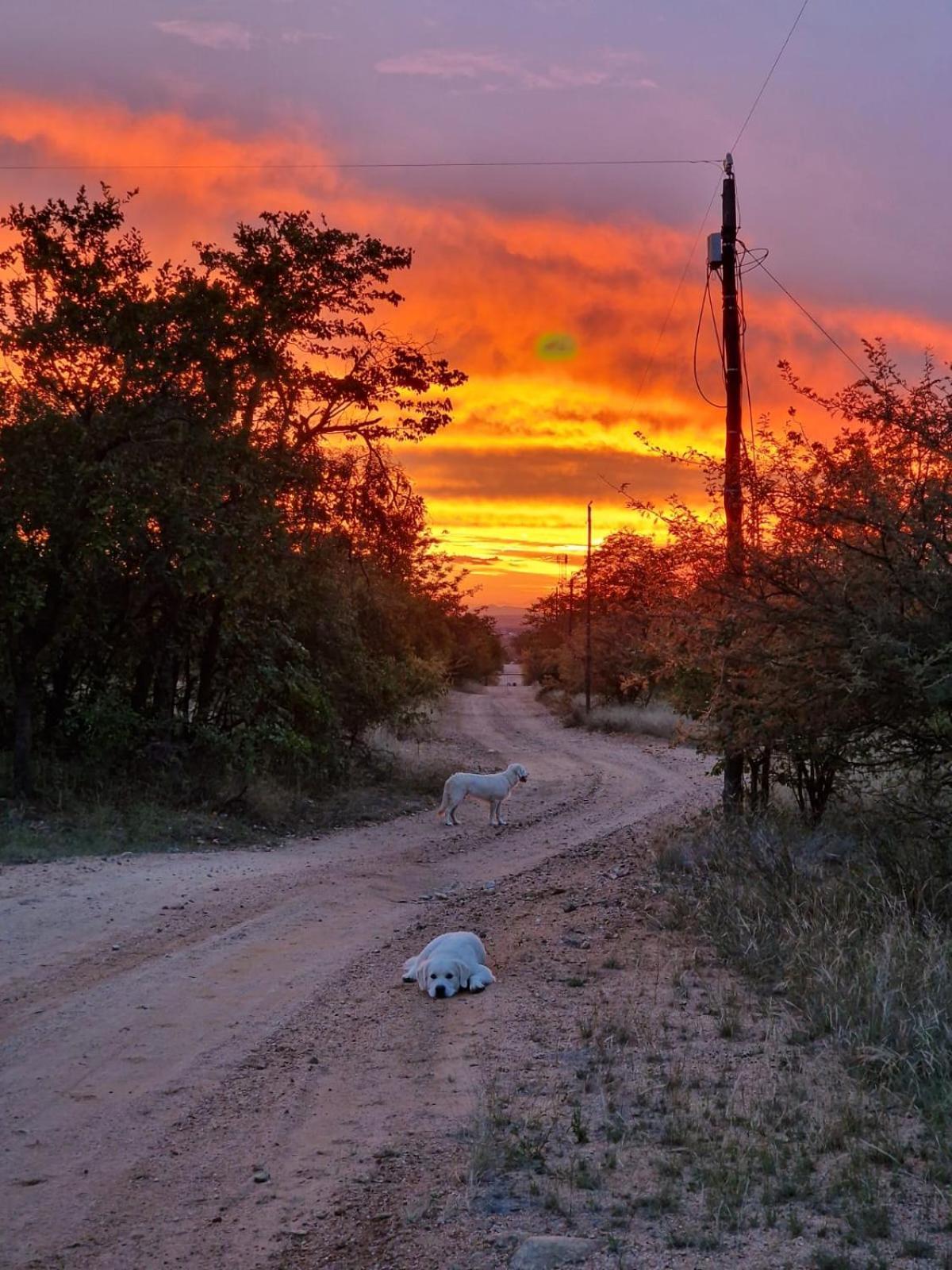 Masorini Bush Lodge & Safari Tents Phalaborwa Bagian luar foto