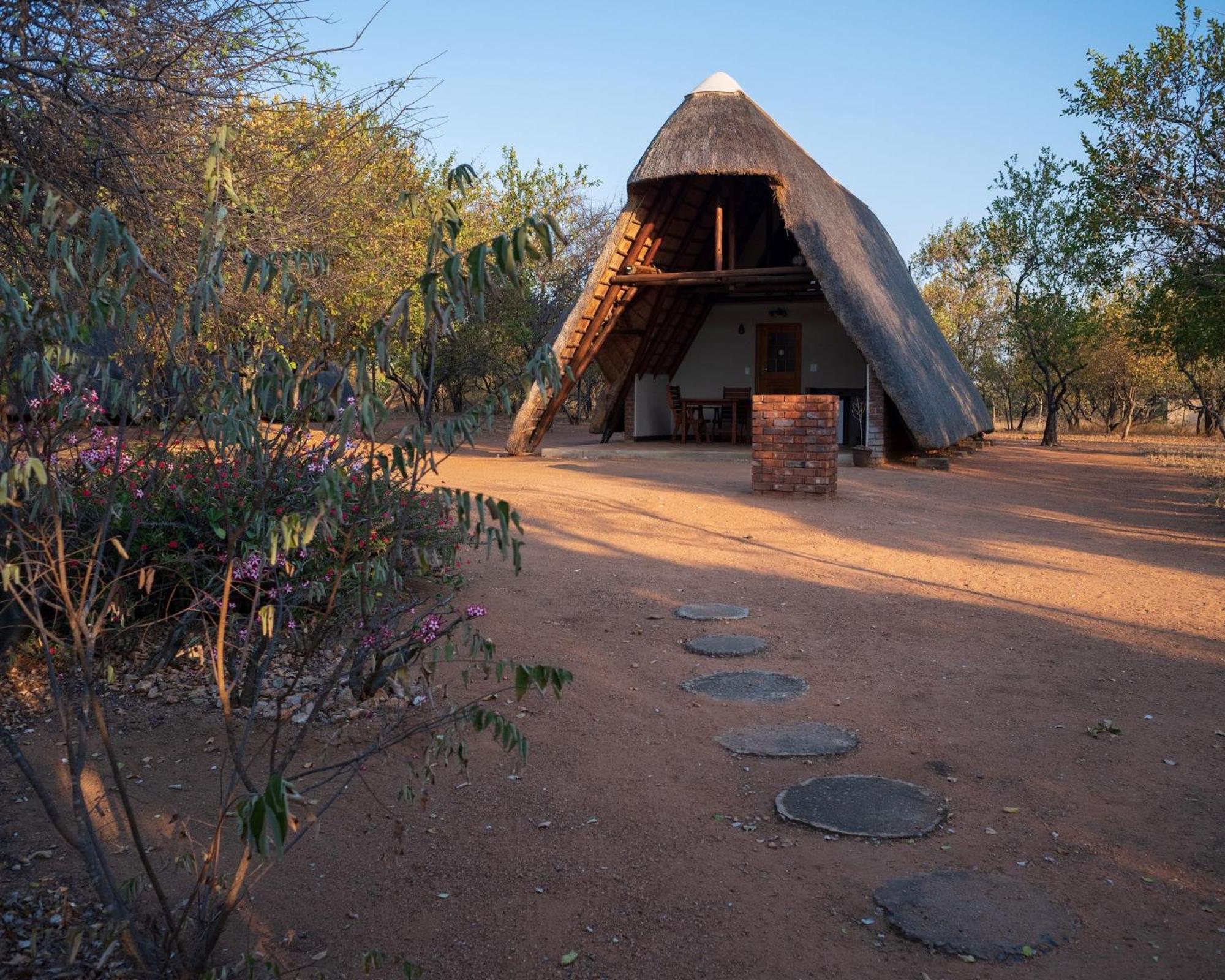 Masorini Bush Lodge & Safari Tents Phalaborwa Bagian luar foto