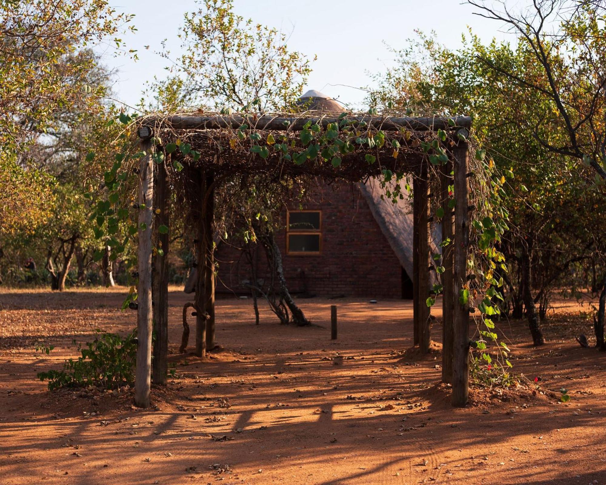 Masorini Bush Lodge & Safari Tents Phalaborwa Bagian luar foto